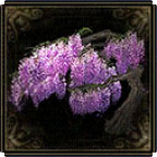 特效盆栽·紫藤